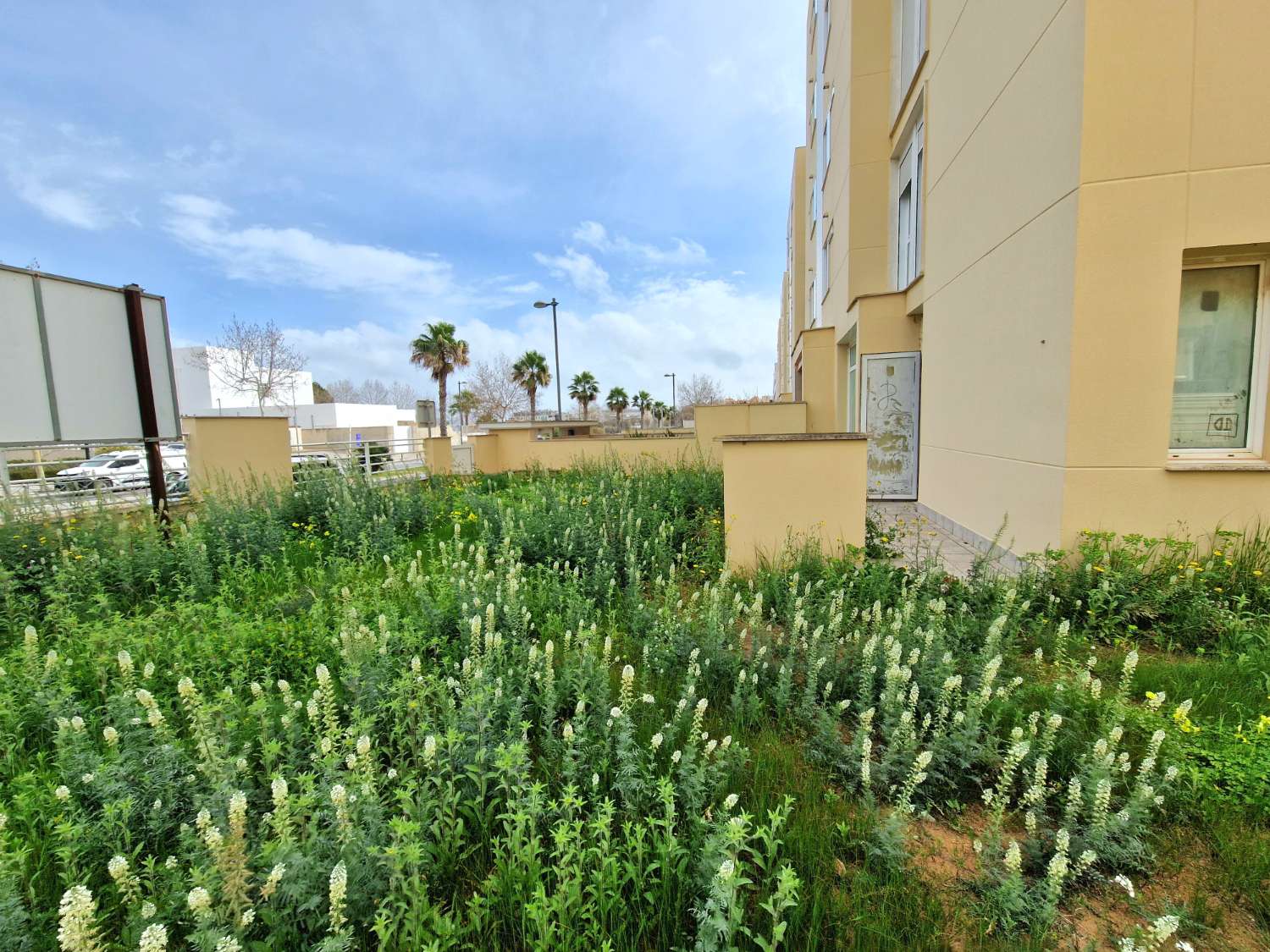 Ampio locale in una delle migliori zone di Ibiza