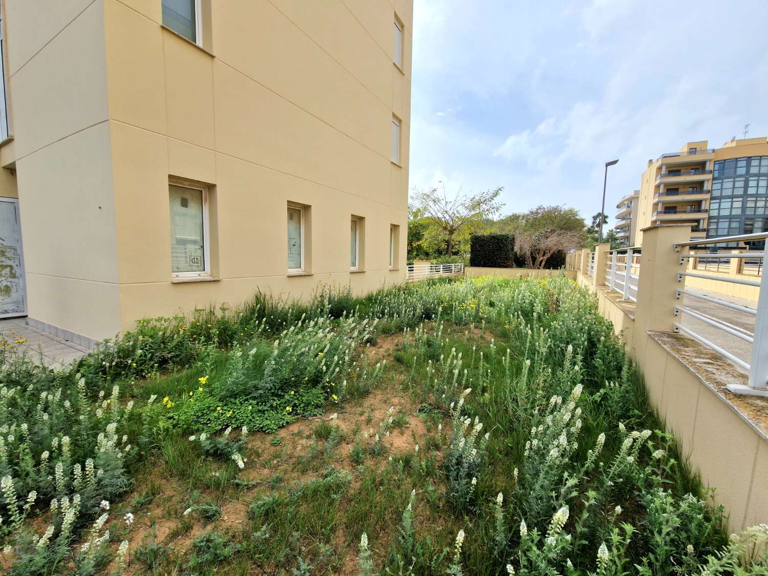 Ampio locale in una delle migliori zone di Ibiza