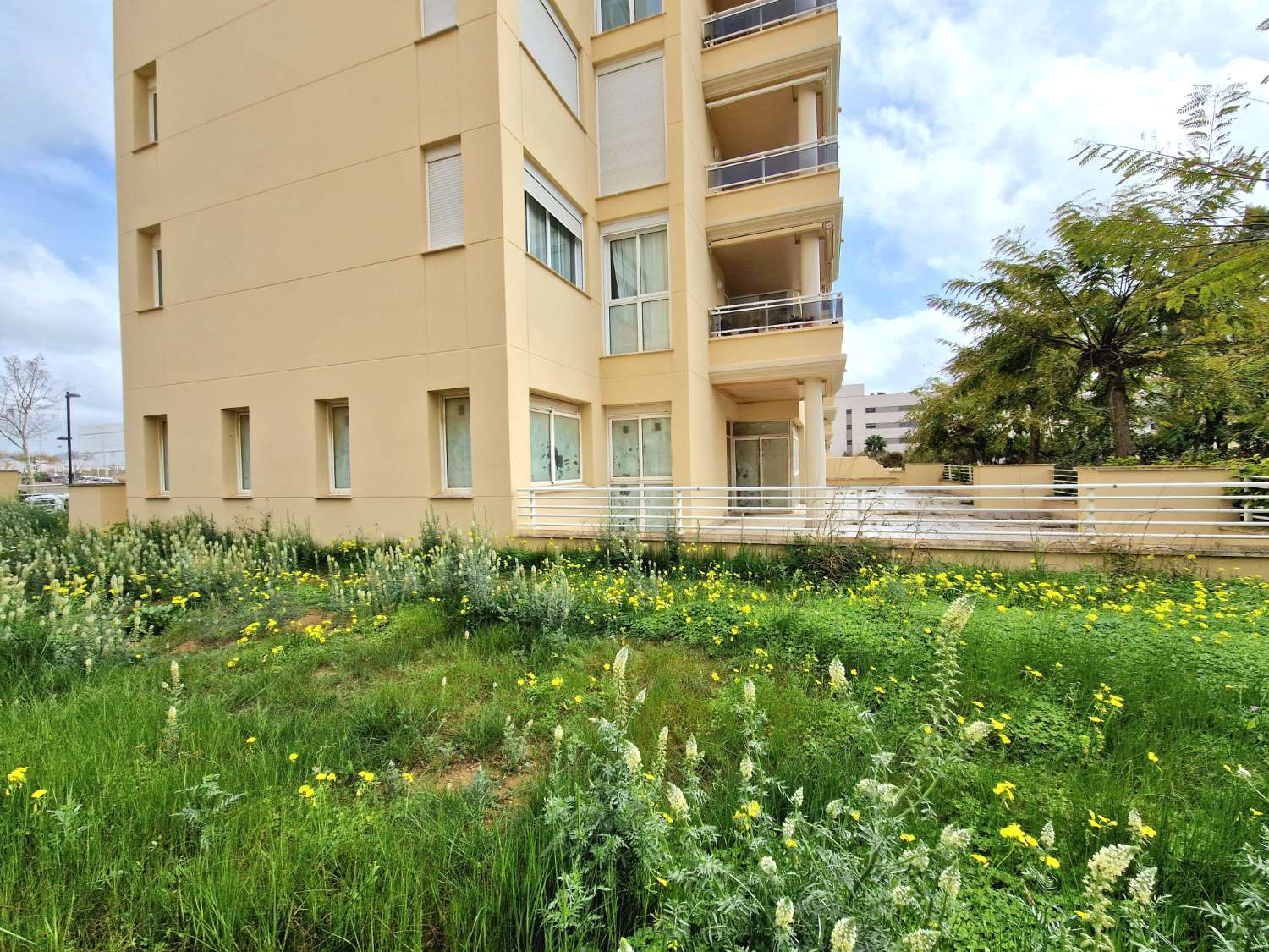Ampio locale in una delle migliori zone di Ibiza
