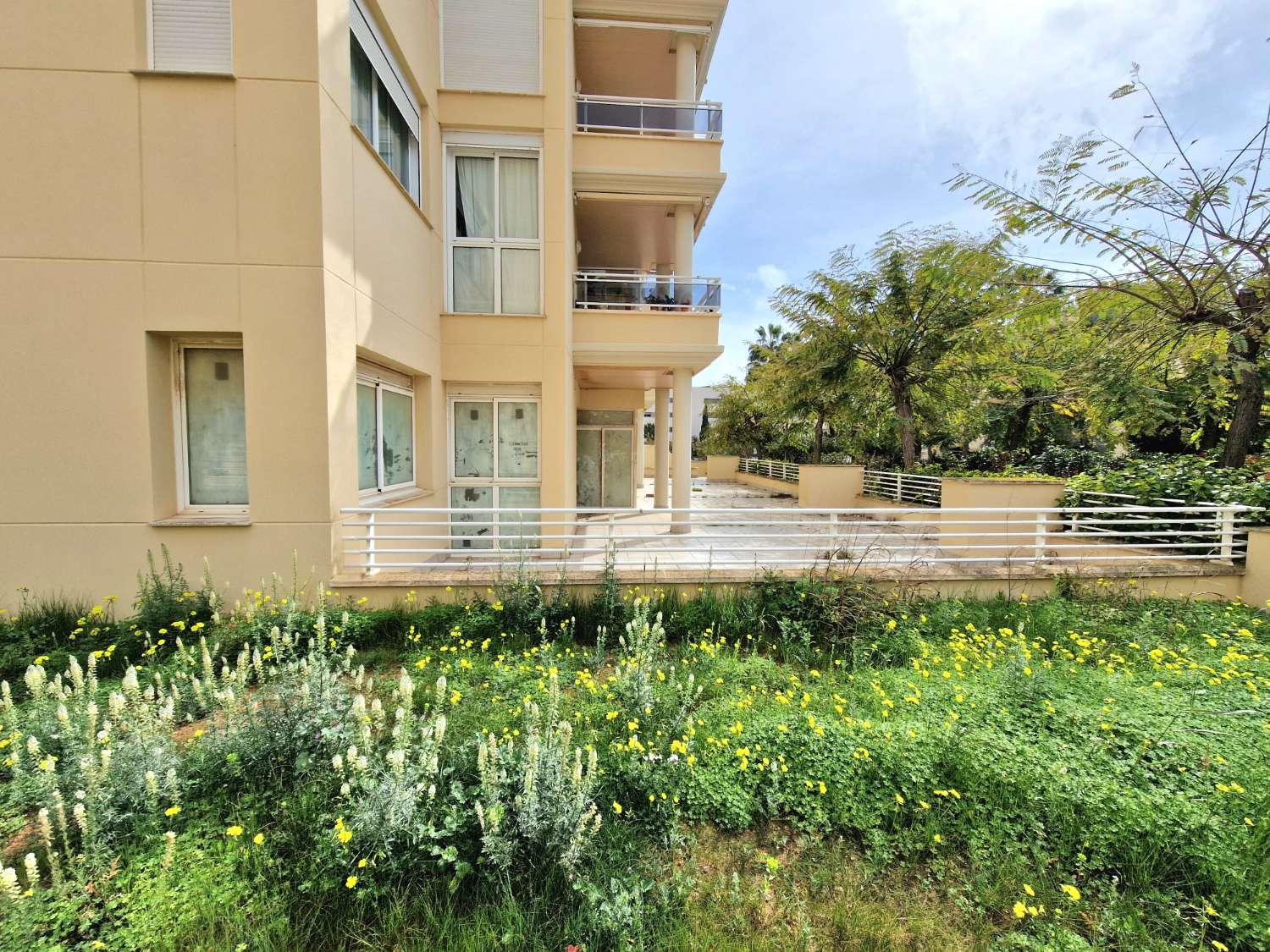Ampio locale in una delle migliori zone di Ibiza