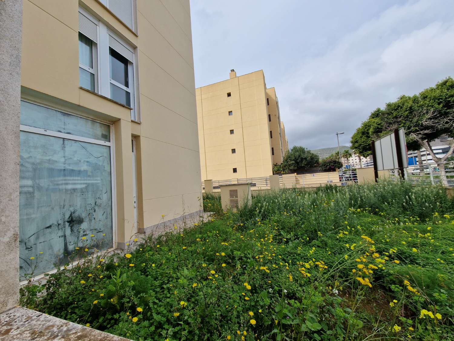 Ampio locale in una delle migliori zone di Ibiza