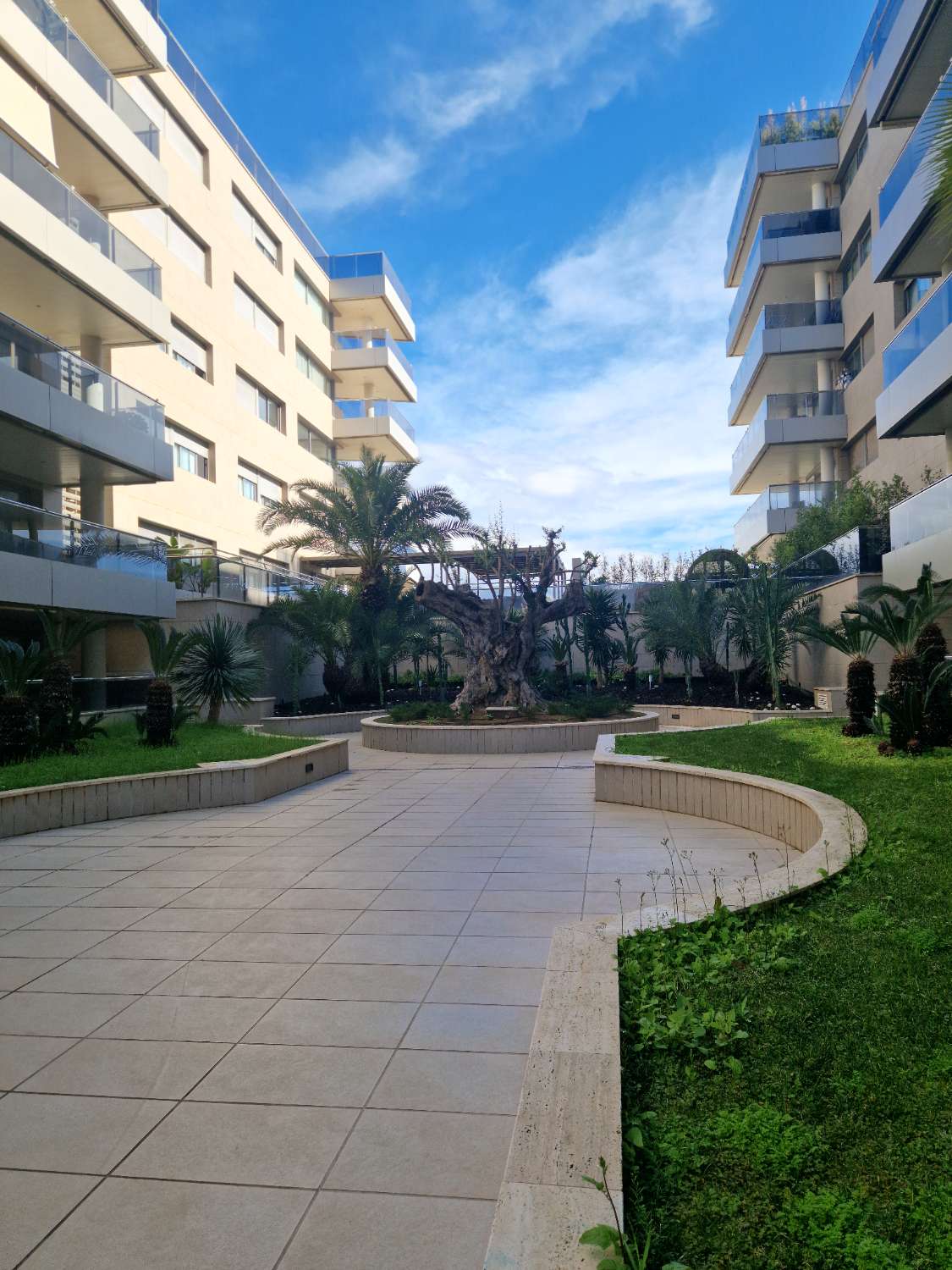 Proprietà unica a Ibiza