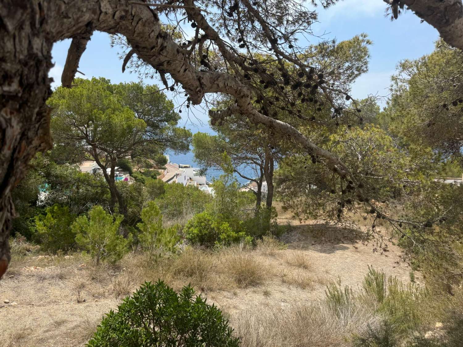 Percelen te koop in Santa Eulalia del Río