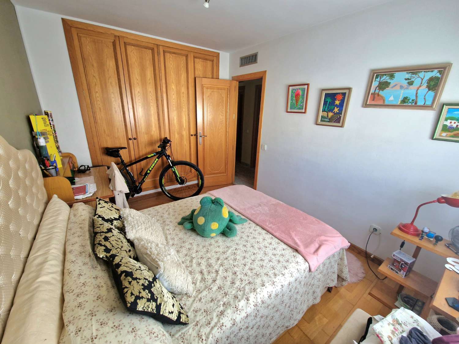 Appartement spacieux dans le centre d'Ibiza