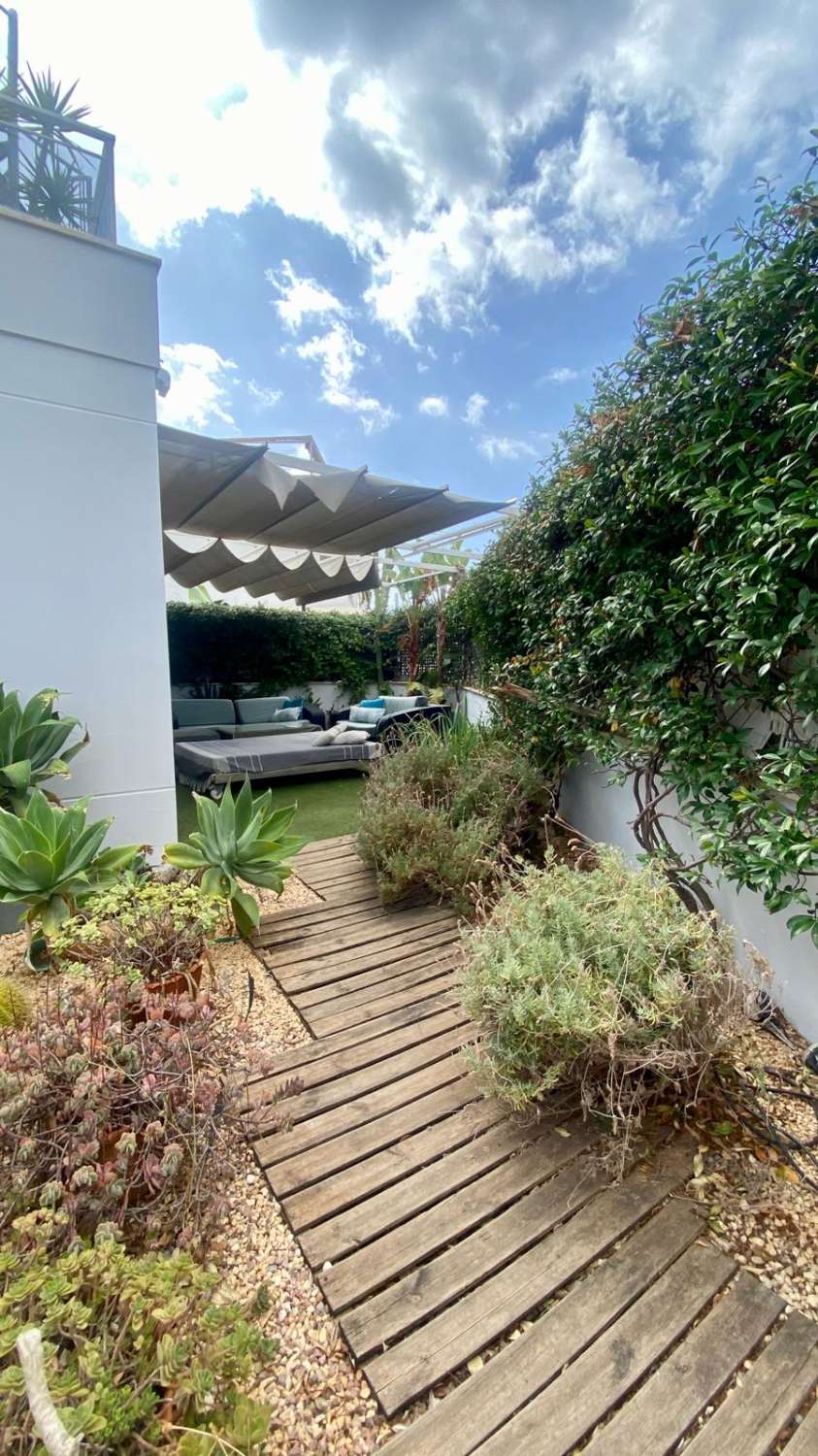 Espectacular bajo en Illa Plana