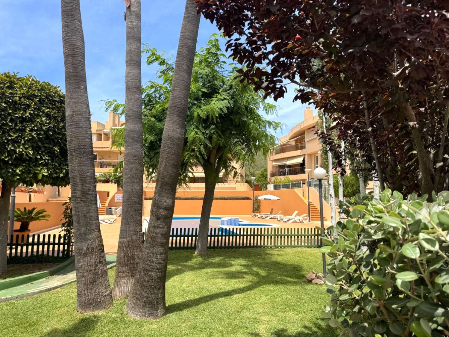 Ground floor apartment with spacious terraces and swimming pool in Can Misses