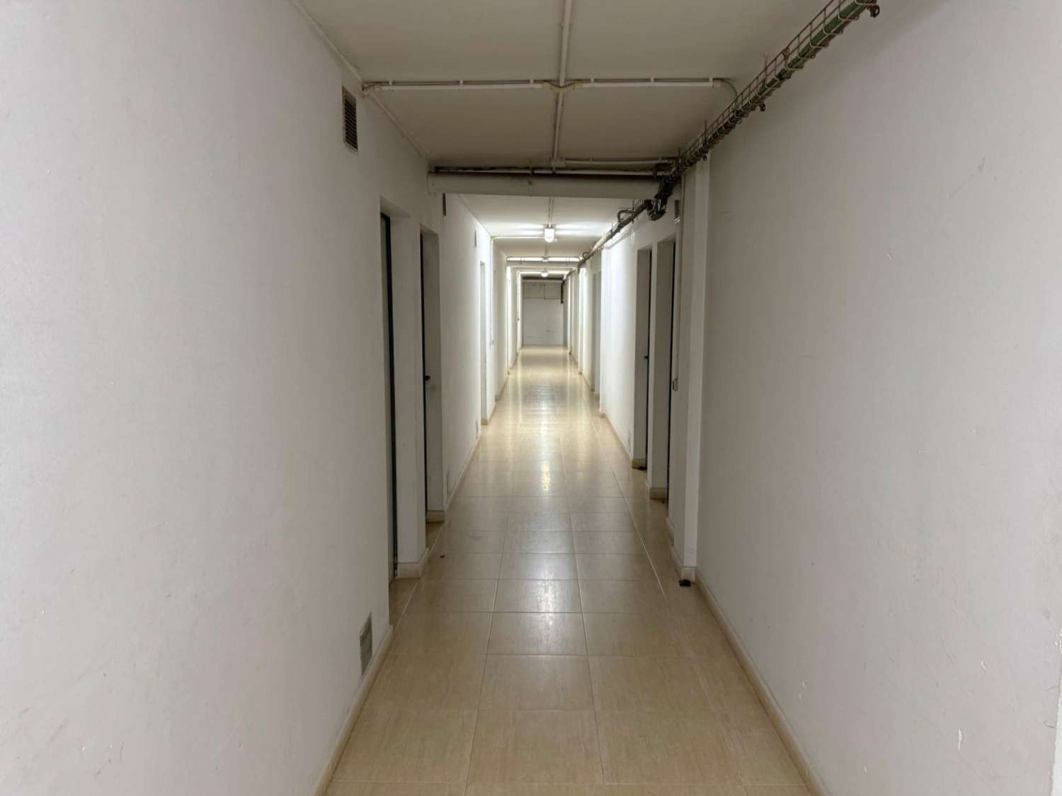 Ground floor apartment with spacious terraces and swimming pool in Can Misses