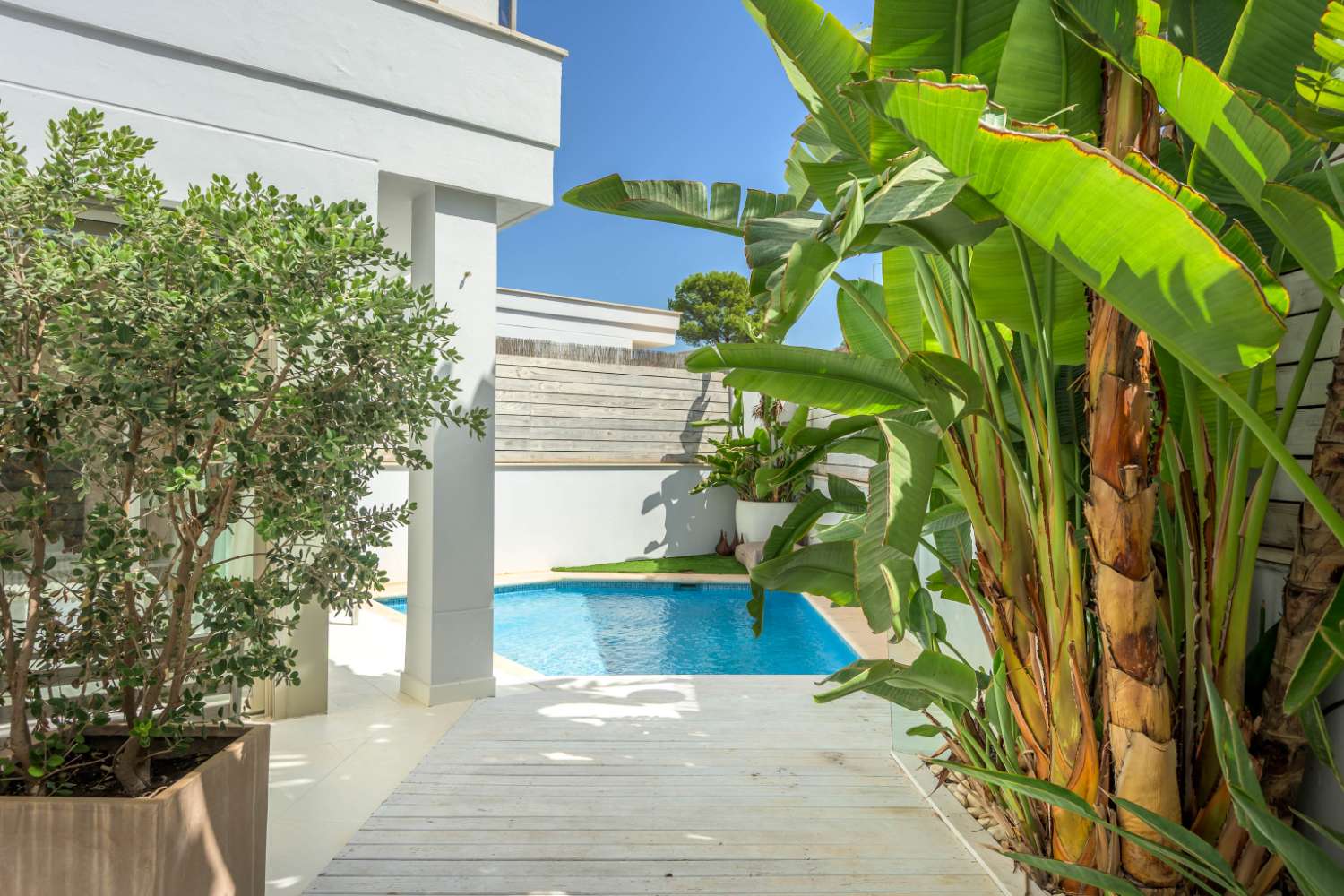 Exclusief duplexappartement met zwembad en dakterras in Illa Plana.