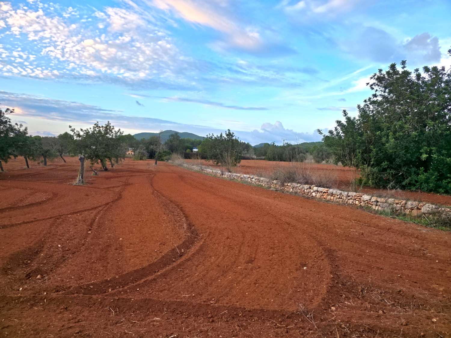 Parcela con proyecto y licencia en Sant Joan de Labritja