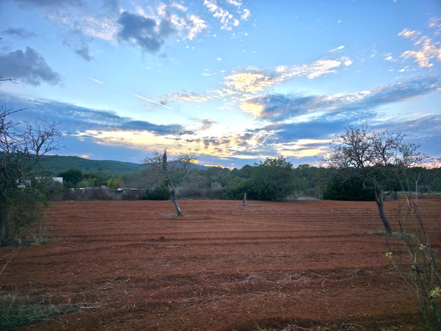 Parcela con proyecto y licencia en Sant Joan de Labritja