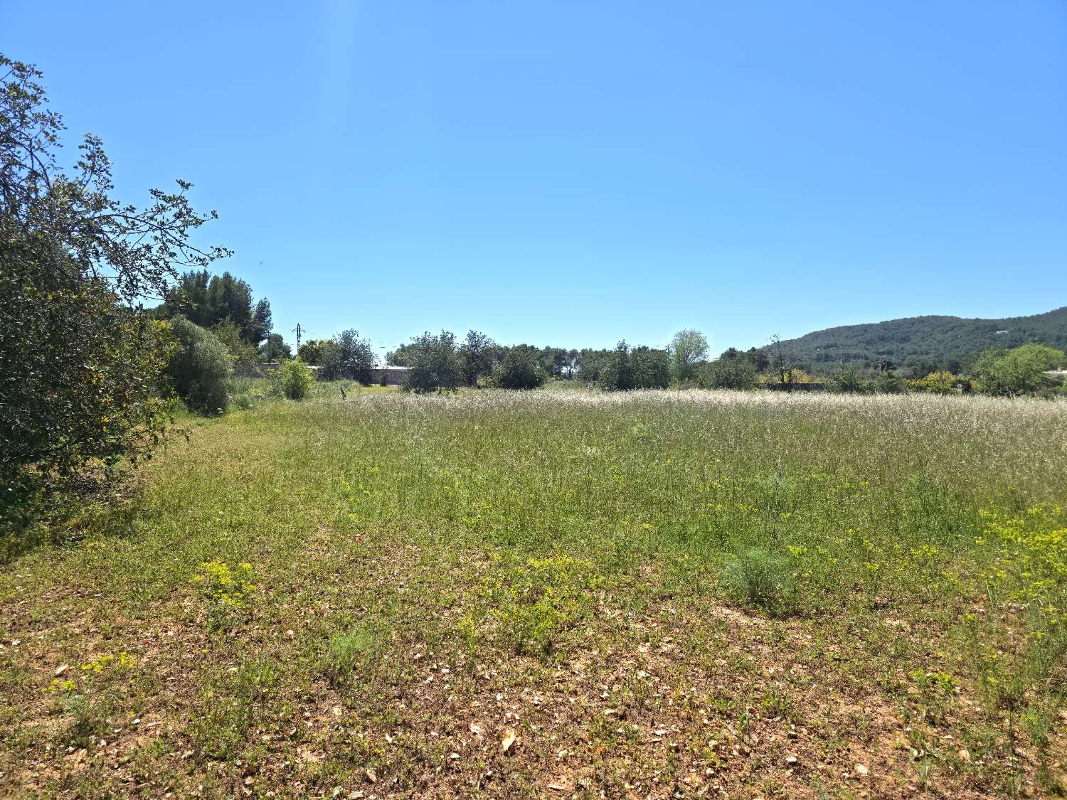 Parcela con proyecto y licencia en Sant Joan de Labritja