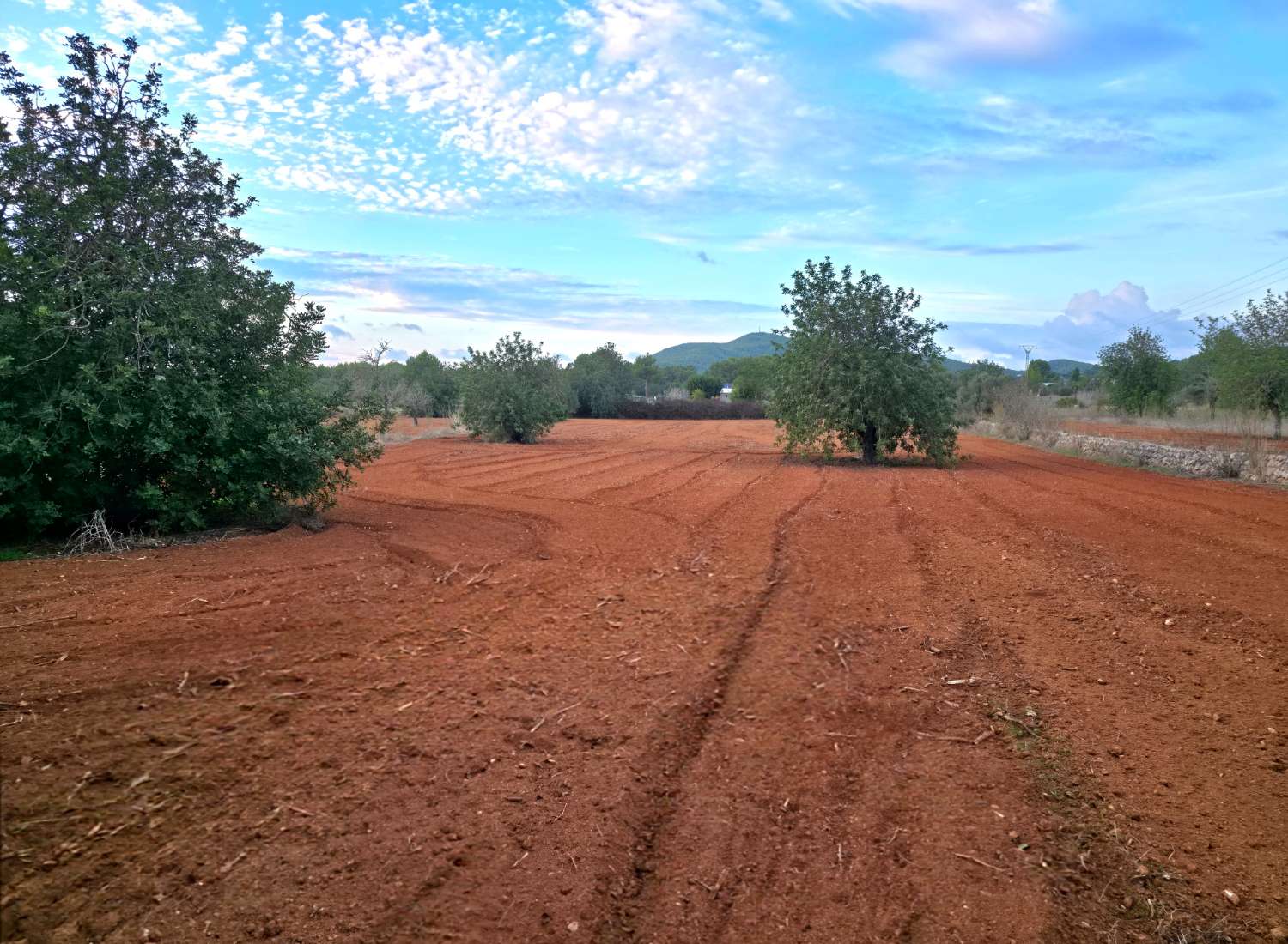 Parcela con proyecto y licencia en Sant Joan de Labritja