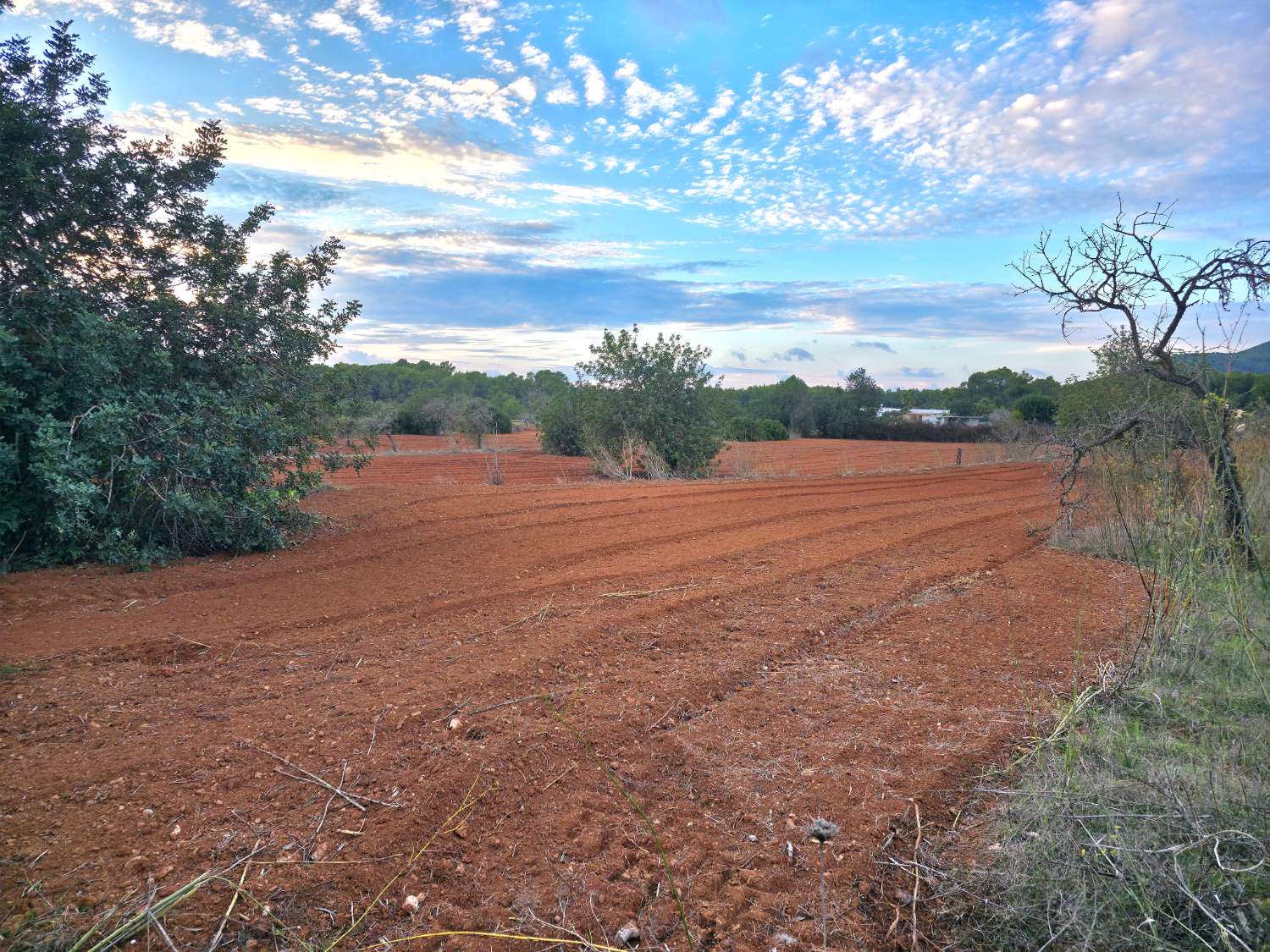 Parcela con proyecto y licencia en Sant Joan de Labritja